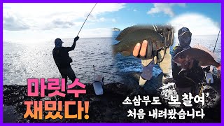 처음 내려봤습니다! ... 거문도 No.1