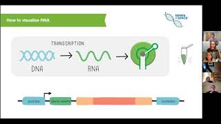 Inside a Genes in Space Virtual BioBits Workshop