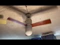 42” modern fan co cirrus short ceiling fan gloss white mahogany blades full video