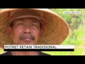 Berbagi Kisah Potret Petani Tradisional