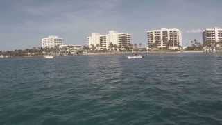 Boating in Jupiter, FL (6) MANATEEs and A-Holes