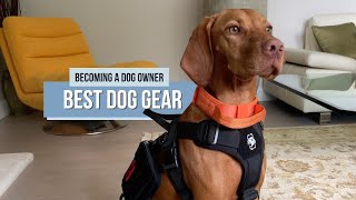 Dog Gear Review - Collars, Leashes \u0026 Harnesses - KONG, goodwolf, \u0026 OneTigris