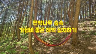 편백나무 숲속 가성비 좋은 해먹 설치하기  #편백나무 #편백숲 #해먹