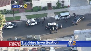 North Hollywood Stabbing Suspect Arrested