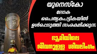 ഇന്നും വളർന്നുകൊണ്ടിരിക്കുന്ന ജീവനുള്ള ശിവലിംഗം | The living shivling of matangeshwar temple