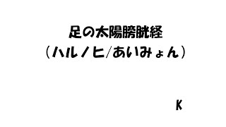 足の太陽膀胱経(ハルノヒ/あいみょん) 【歌で覚える経穴】