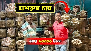 বেকার না থেকে মাশরুম চাষ করুন মাসে ৯০০০০টাকা | Mushroom Farming | Mushroom Cultivation | Musrum Chas