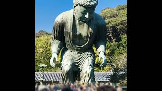 大仏はどこに行く？？　#shorts #大仏 #鎌倉 #ai動画 #ohmygod