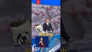 “春天的烦恼”——花粉过敏 朱广权说的是你吗？| CCTV科教