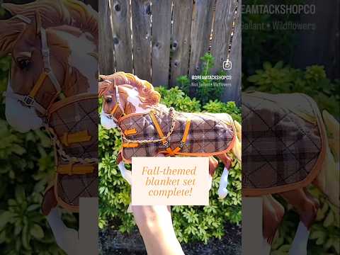 What is saddle and tack?