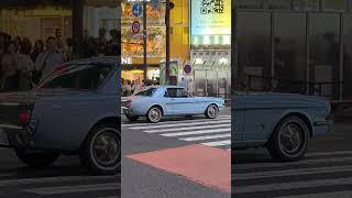 💯💥 A Gorgeous Classical Car Collection from Shibuya. Tokyo, Japan.g