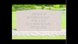 RIP - Windows XP