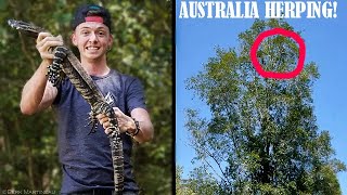 Catching Giant Monitor Lizard in AUSTRALIA!! 60 Feet Up A Tree!