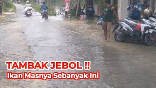 TAMBAK JEBOL !! MANCING IKAN MAS DI SUNGAI KERUH DAPAT SEBANYAK INI.