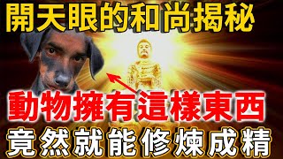 動物為什麼不能修煉成精？開天眼的和尚驚奇發現：原來與人類相比，它們少了一樣東西…… | 禪語