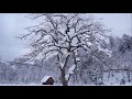 山と自然と故郷の写真動画　20171214　白川郷　師走の大雪