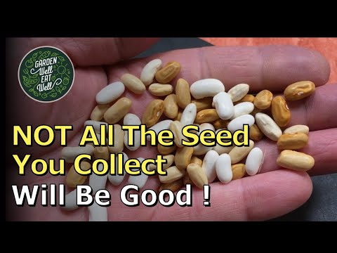 Can dry seeds still grow?
