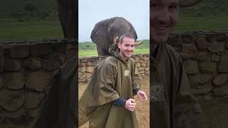 Feeding a African Elephant at H.E.R.D Sanctuary in South Africa