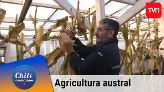 Agricultura austral | Chile conectado | Buenos días a todos