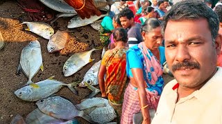 நாகூரில் மீன் ஏலம் விடும் முறை nagore fish market#fishing @nagoreashok