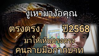 ดูดวง!!งูเหามาง้อคุณตรงตรงมาให้เห็นตรงตรงคนลายมือกากบาท ปี2568