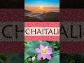 ☀️ chaitali hindu girl names chaitali name whatsapp status shorts