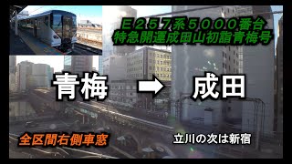 【E257系】特急開運成田山初詣青梅号青梅➡成田全区間右側車窓【海側車窓】