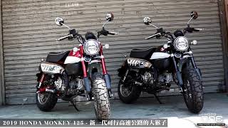 2019 HONDA MONKEY 125│新一代可行高速公路的大猴子