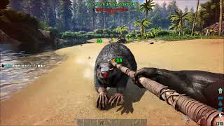 【ARK】#7　カストロイデスの巣を発見！！　【Island】