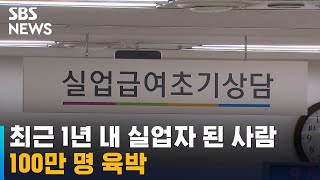 최근 1년 이내에 실업자 된 사람 100만 명 육박 / SBS