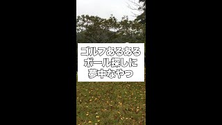 【ゴルフあるある】ボール探しに夢中なやつ