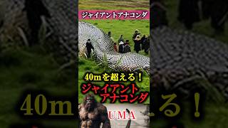 【UMA】ジャイアントアナコンダ　#UMA #未確認生物 #ミステリー