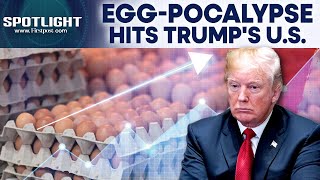 US: Why Trump Can't Control Egg Prices Hitting All-Time High | Firstpost Spotlight | N18G