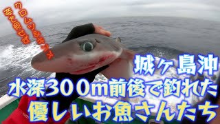 城ヶ島沖中深場釣りでノーピクを回避させてくれた優しいお魚さんを紹介～キンメ＆クロムツはノーガコッたっだ～（2024.4.27 三崎港・えいあん丸 キンメ＆クロムツ)