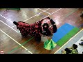 kuantan builder society 關丹建造行武術醒獅團 traditional liondance 10th m sia dragon u0026lion dance championship