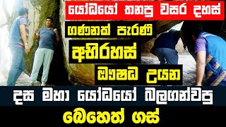 යෝධයෝ තනපු වසර දහස් ගණනක් පැරණි අභිරහස් ඖෂධ උයන | දස මහා යෝධයෝ බලගන්වපු බෙහෙත් ගස් | කොටස 01