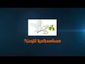 நிலவே அழகே நிலா பற்றியக் கவிதை nila kavithai poem about the moon in tamil nanjilkathambam