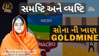 સમષ્ટિ અને વ્યષ્ટિ || Manav Dharam Gujarati || Micro vs Macro || Story of Goldmine