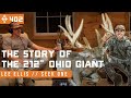 The Story of Lee Ellis' Giant 212