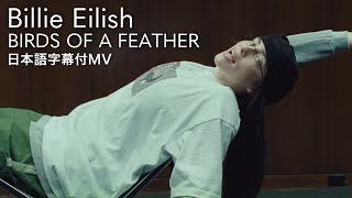 【和訳】ビリー・アイリッシュ- BIRDS OF A FEATHER / Billie Eilish【HIT ME HARD AND SOFT】