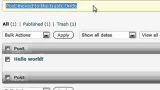 Editing WordPress Posts | WordPress Training Videos