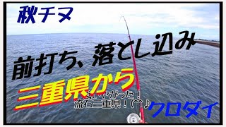 2022年10月　前打ち、落とし込みクロダイ　三重県から