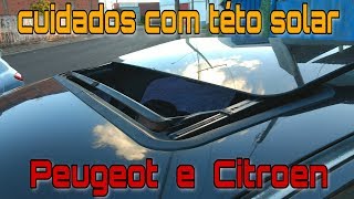 této solar Peugeot 206 207 Citroen C3 C4 cuidados dicas e curiosidades  |  canal Car Play