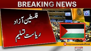 UN assembly approves resolution granting Palestine new rights | Pakistan News | Latest News