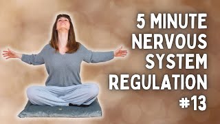 Nervous System Regulation Under 5 Minutes | Somatic Exercises