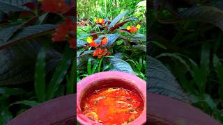 sardine curry | village style ගමේ රසට 😋🍽 #villageboy #srilanka  #asmrvideo #shortvideo  #food