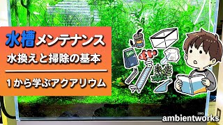 1から学ぶアクアリウム　水換え・掃除【アクアリウム】