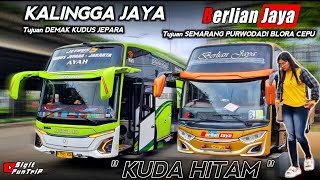 Ternyata Segini Harga Tiketnya ‼️ BERLIANJAYA KALINGGAJAYA 🔥 Angkatan Pagi Agen Bus RingRoad Kapuk