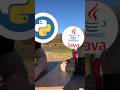 python vs java in gaming #programming #javaprogramming #gaming #shorts