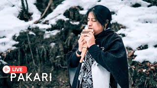 Pakari- Healing Native Music